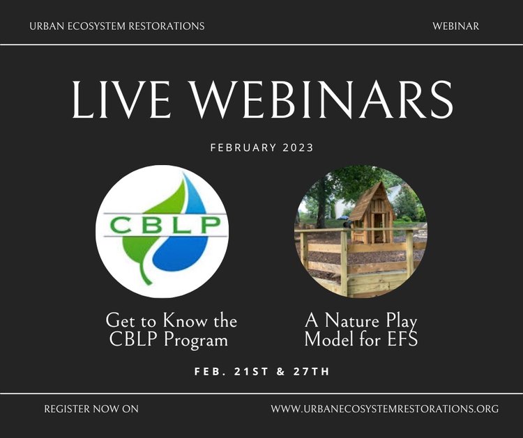 Join UER in February for 2 Fabulous Webinars