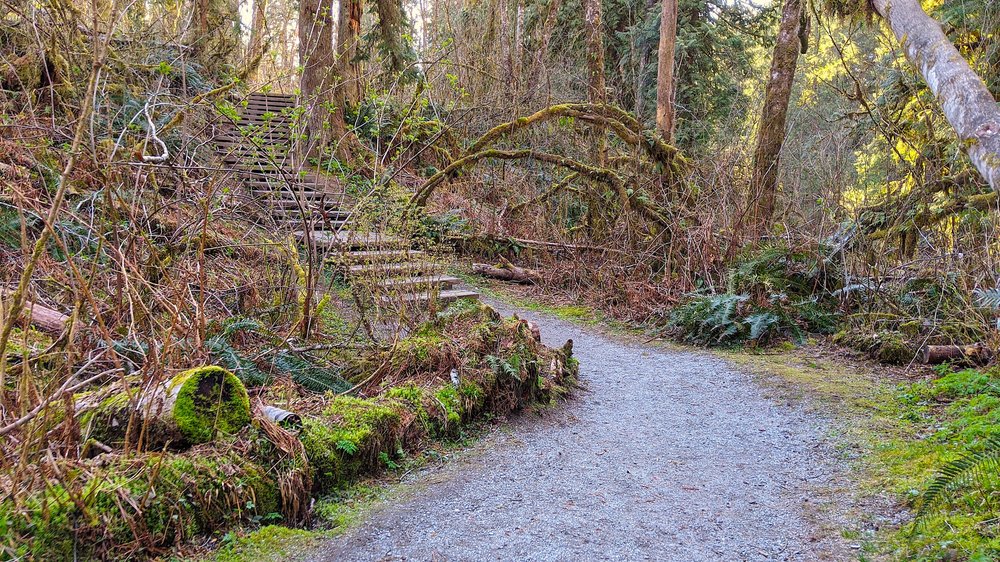 The Connection between Nature & Your Health