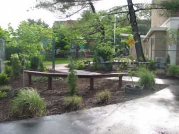 Read more about the article Brent Elementary Schoolyard Greening: Phase 1