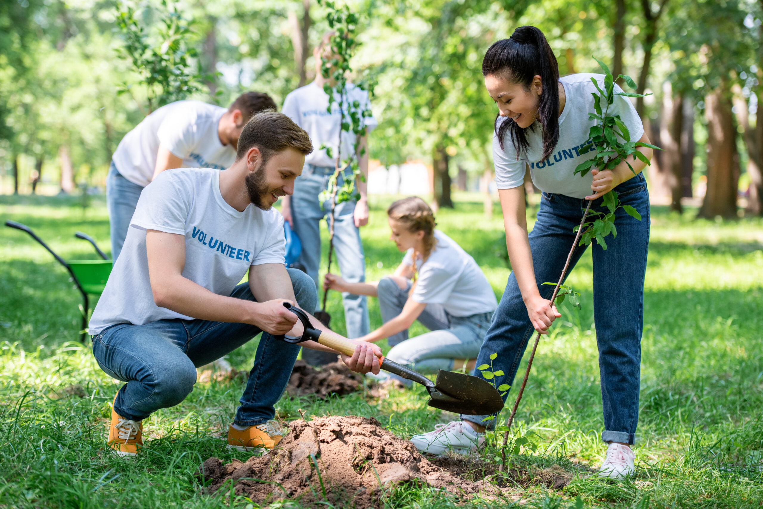 Urban Ecosystem Restorations relies on the dedication