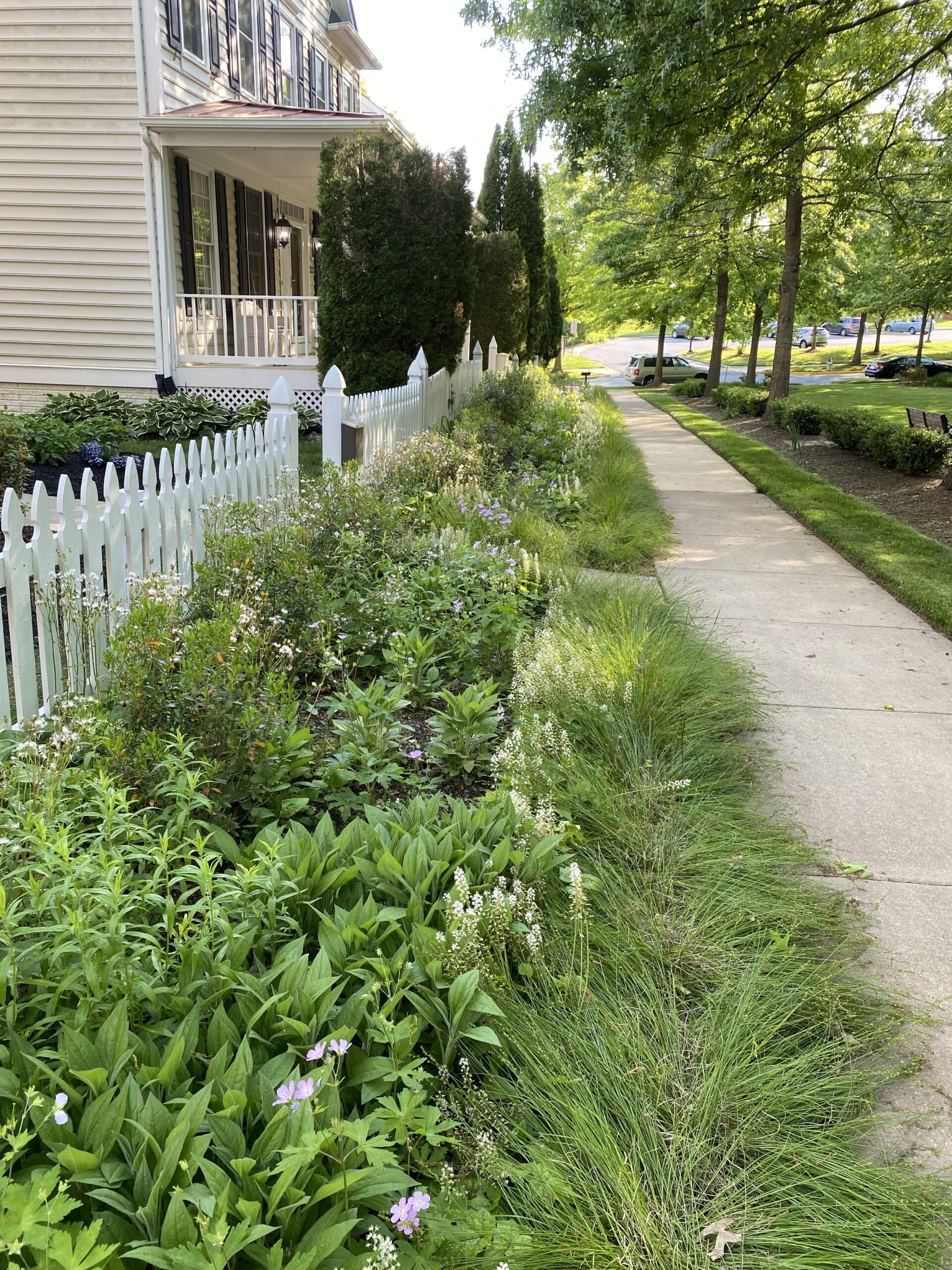 Read more about the article Butterfly Commons @ Lakelands Continues to Grow and Thrive