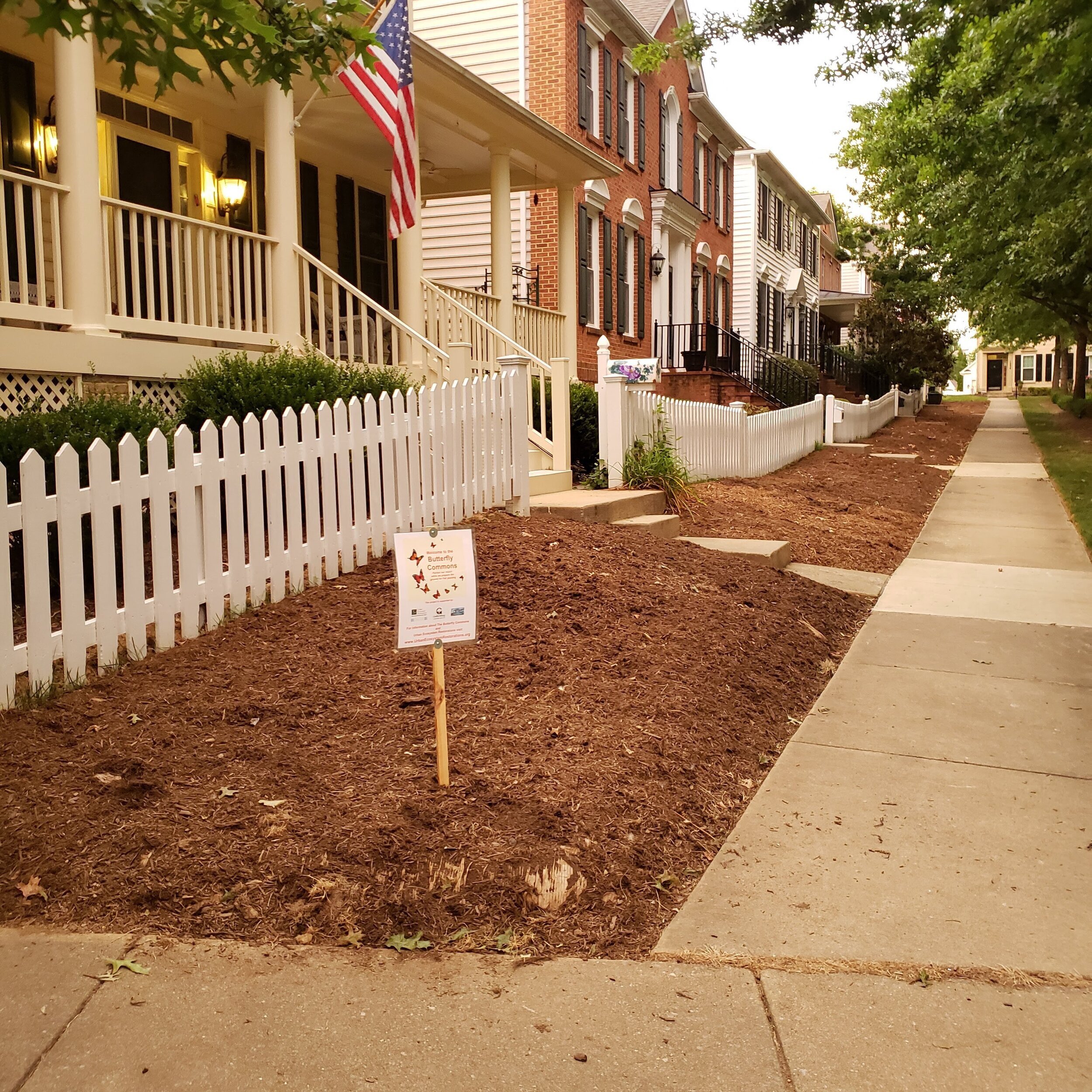 Read more about the article Butterfly Commons – Site Preparation Phase